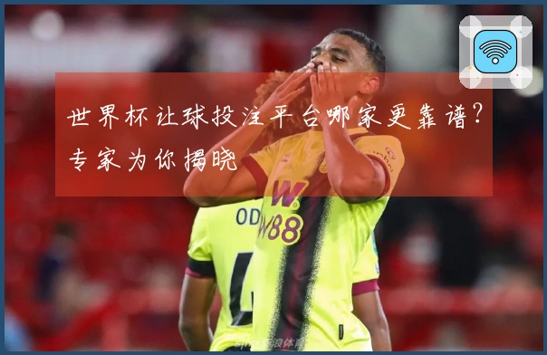 世界杯让球投注平台哪家更靠谱？专家为你揭晓