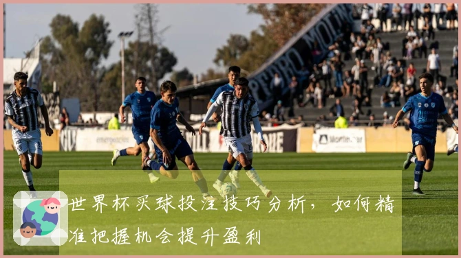 世界杯买球投注技巧分析，如何精准把握机会提升盈利