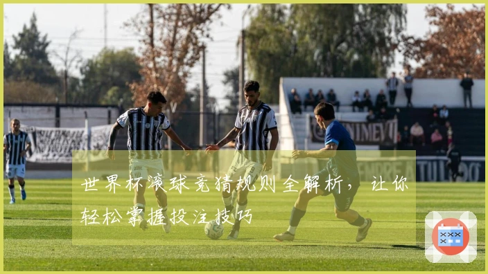 世界杯滚球竞猜规则全解析，让你轻松掌握投注技巧