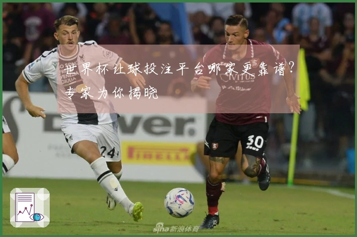 世界杯让球投注平台哪家更靠谱？专家为你揭晓
