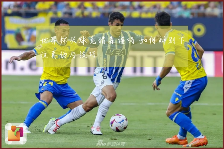 世界杯买球竞猜靠谱吗 如何辨别下注真伪与技巧