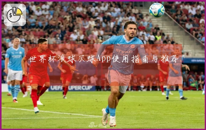 世界杯滚球买球App使用指南与推荐