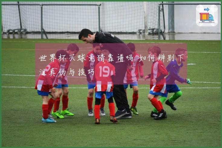 世界杯买球竞猜靠谱吗 如何辨别下注真伪与技巧