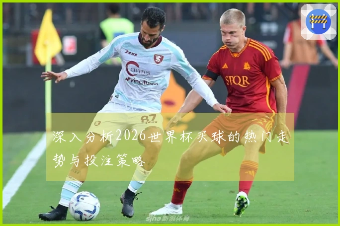 深入分析2026世界杯买球的热门走势与投注策略