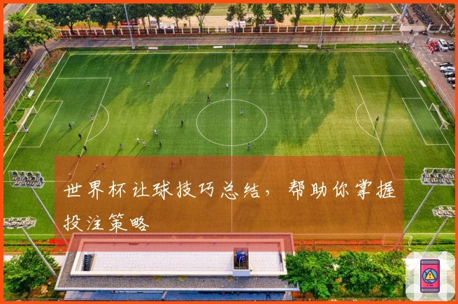 世界杯让球技巧总结，帮助你掌握投注策略