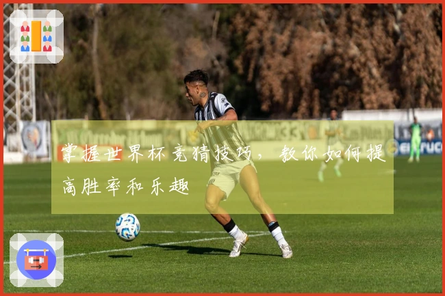 掌握世界杯竞猜技巧，教你如何提高胜率和乐趣